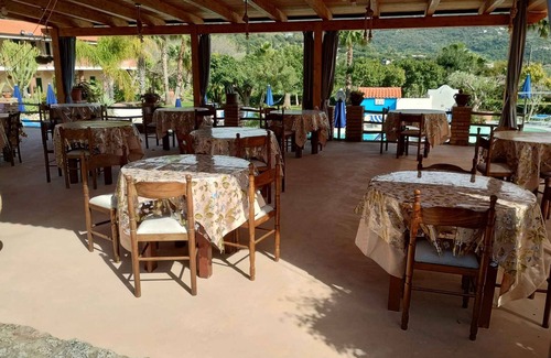Ricadi Apartment | Scenic Holiday Apartment with Ocean View to Capo Vaticano