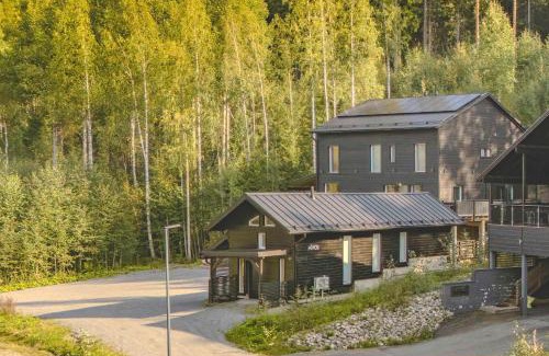 Jamsa House | Holiday Cabin Pikkuleijona