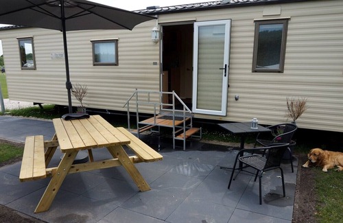 Paasloo House | Holiday chalet near the canals of Giethoorn (Dutch Venice) and National Park Weerribben - Wieden, beautiful nature and many animals such as the otter, kingfisher, roe deer, fox, buzzard, hawk and many others. Particularly loved by walkers, cyclists, bi...