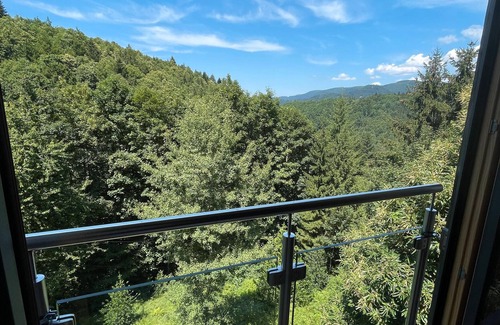Wolfach - Saint Roman Apartment | Holiday Apartment 'Im Holzhau' with Mountain View, Shared Terrace and Wi-Fi
