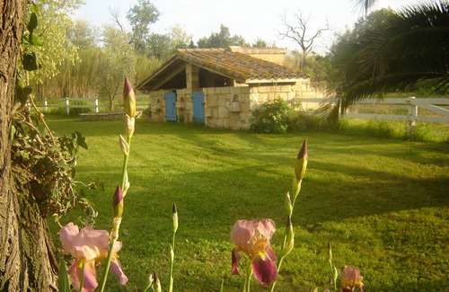 Arles Cottage | Cozy Vineyard Farmhouse Retreat in the Heart of Camargue