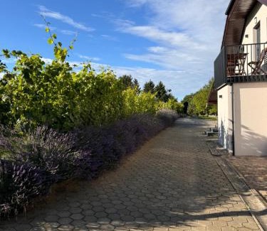 Moravske Toplice Apartment | Pet and Child Friendly Holiday Home Ana for Memorable Stays