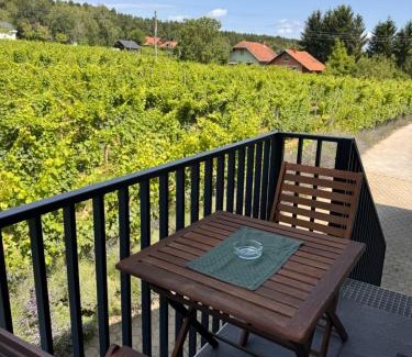 Moravske Toplice Apartment | Pet and Child Friendly Holiday Home Ana for Memorable Stays