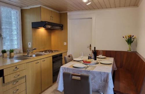 Ronco sopra Ascona House | Bel Panorama Holiday Home: Family & Pet-Friendly Retreat