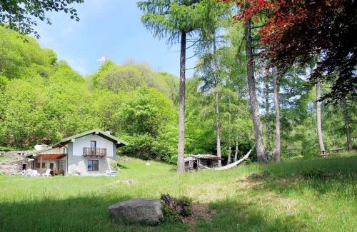 Trarego Viggiona House | Cozy Holiday Home Baita Nini: Pet & Child Friendly Stay