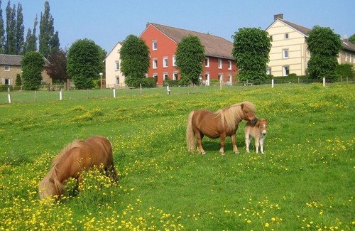 Landsrade House | Pet-Friendly Holiday Home at Bungalowpark Landsrade-3