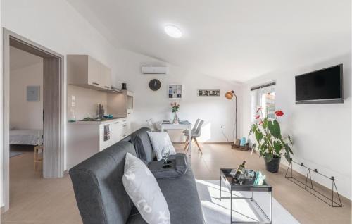 Sveta Nedelja House | Cozy 4 Bedroom Home in Cere with Pool and Pet-Friendly Amenities