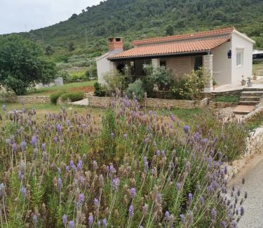 Cove Rogacic House | Pet-Friendly Retreat at Holiday Home Cvitka - Rated 9.5/10