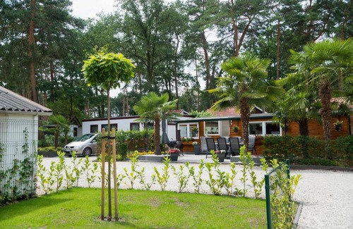 Schinveld House | Family-Friendly Retreat at Holiday Home De Brenkberg-2
