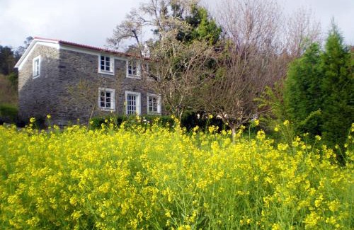 Mino House | Pet-Friendly Holiday Home El Olivo - Guest Rated 9.7