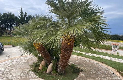 Sciacca House | Seaside Retreat 'Fiori Di Campo' with Private Terrace & Wi-Fi
