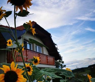 Dvor House | Cozy Holiday Home in Dvor Kranjska Krain with Hot Tub