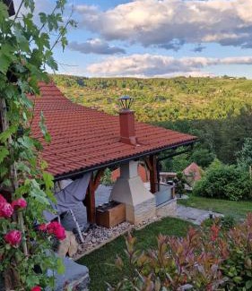 Dvor House | Cozy Holiday Home in Dvor Kranjska Krain with Hot Tub