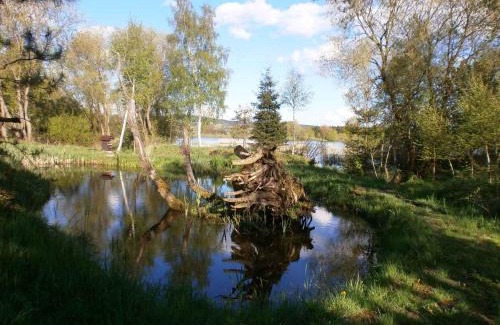 Skrdlovice House | Pet-Friendly Holiday Home in Skrdlovice with Private Pool