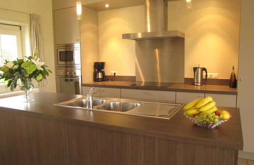 Zuidzande House | Trendy Holiday Home in Zuidzande with Relaxing Sauna