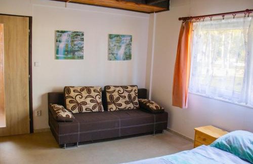 Hradec Kralove House | Family-Friendly Holiday Home Kemp Stříbrný rybník-8
