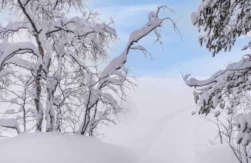 Rauhala House | Pet-Friendly Holiday Home Sarah: Dream Retreat in Lapland