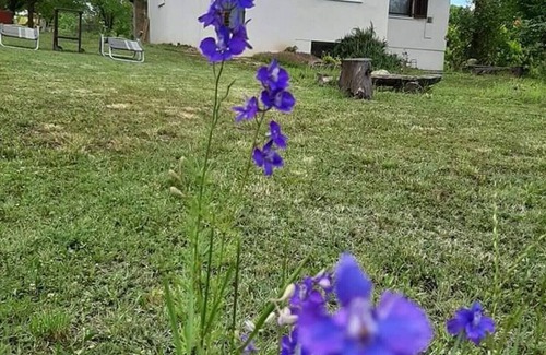 Suza House | Comfortable Holiday Home Mali Anđeo with Spa and Hot Tub