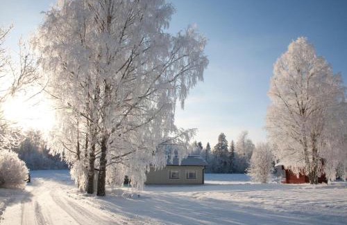 Sotkamo House | Family-Friendly Holiday Home Metsätähti with 9.4 Rating