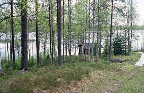 Kehys-Kainuu House | Top-Rated Holiday Home Mustikkainen with Hot Tub & Pet Access