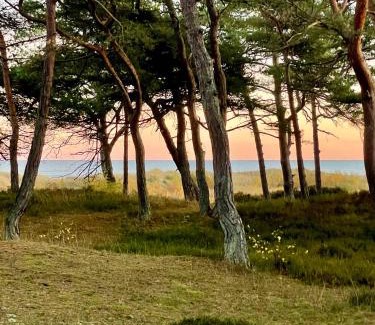 Dueodde House | Holiday Home Near The Beach Perfect For Relaxing
