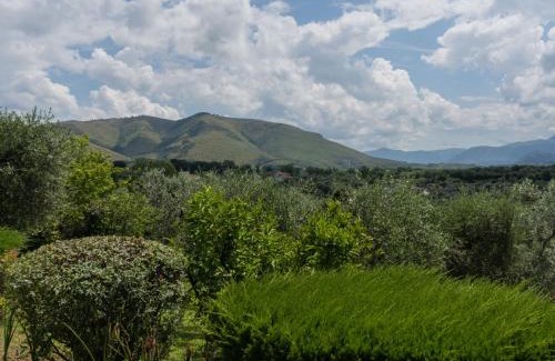 Canneto House | Relax at Holiday Home Olive Grove Sabina with Pool Access