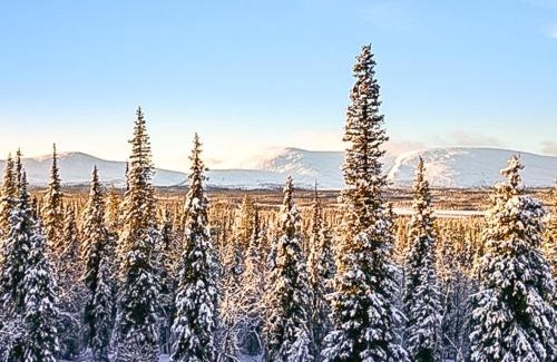 Kittila House | Pet-Friendly Holiday Home Pallaksen Valkkorinne Escape