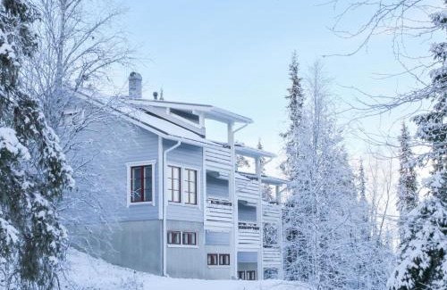 Salla House | Family-Friendly Holiday Home Pulkka 1 with Pet Amenities