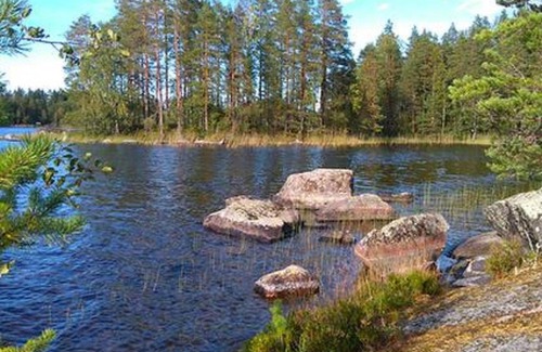 Konnevesi House | Cozy Holiday Home Pynnölänniemi with Hot Tub Amenities