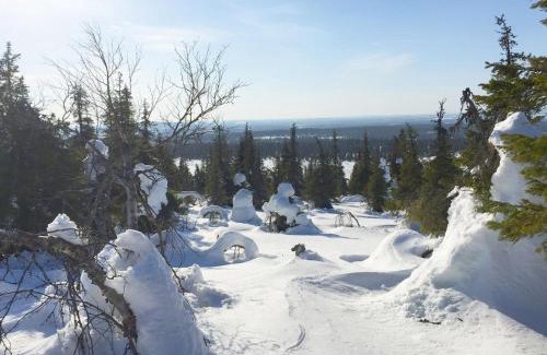 Salla House | Family-Friendly Retreat at Holiday Home Sallanhelmi a2