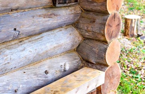Pereslavl-Zalesskiy House | Pet-Friendly Escape at Holiday Home u Lyzhnika - 10/10 Rated