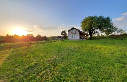 Kutjevo House | Family-Friendly Retreat at Holiday Home Vinovilla, Rated 9.8