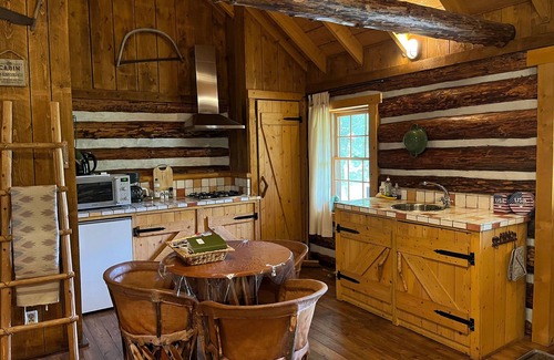 Linde House | Beautiful Holiday Home with Garden and Ocean View in Den Ham