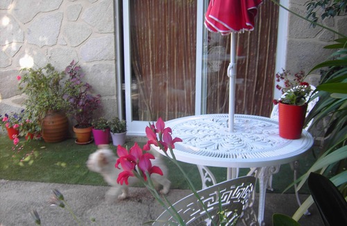 Ponte de Lima House | Idyllic Country Retreat with Pool & Pet-Friendly Amenities