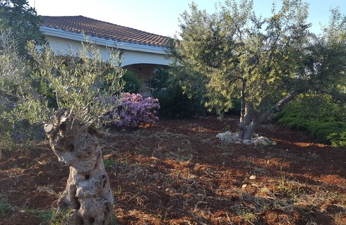 Conversano Villa | Top-Rated Holiday House La Civetta Rodonisa with Spa