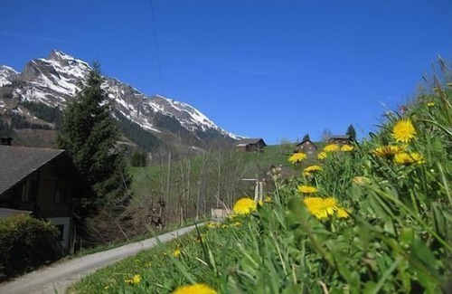 Matt Ski Chalet | Perfect Holiday House Matt for Families with Top Amenities