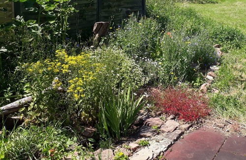 Oberbettingen House | Pet-Friendly Holiday House "Spatzennest" in Eifel