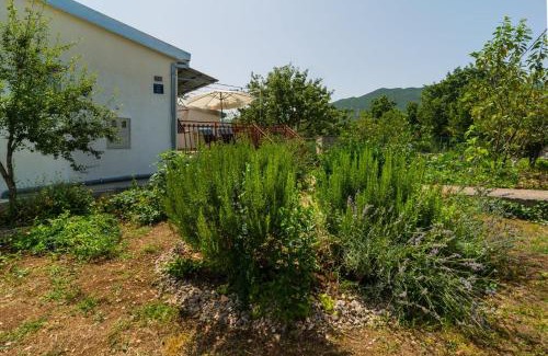 Srijane House | Family-Friendly Holiday House with Parking in Srijane