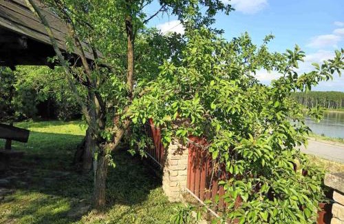 Erdut House | Holiday house with a parking space Dalj, Slavonija - 22471