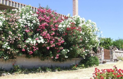Santa Caterina House | Idyllic Holiday House with Ocean View and Huge Garden