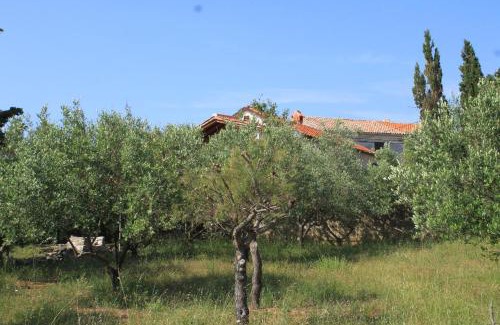 Sveti Jakov House | Pet-Friendly Holiday House with WiFi in Stivan, Cres