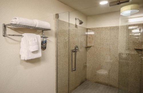 Highland Hotel | Relax at Holiday Inn Austin Midtown with Pool & Ocean View