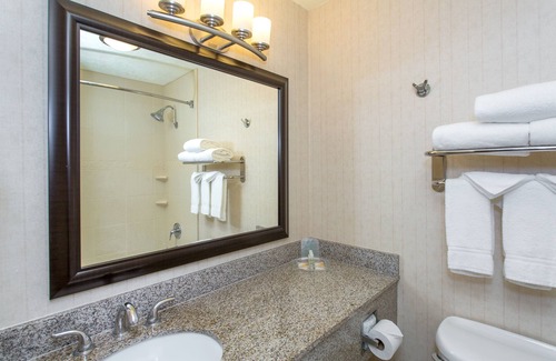 Bloomington Hotel | Comfortable Stay at Holiday Inn Bloomington-University Area