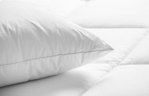 Covington Hotel | Pet-Friendly Stay at Holiday Inn Cincinnati-Riverfront