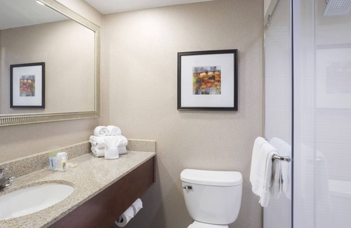 Covington Hotel | Discover Holiday Inn Cincinnati-Riverfront: Family-Friendly Stay