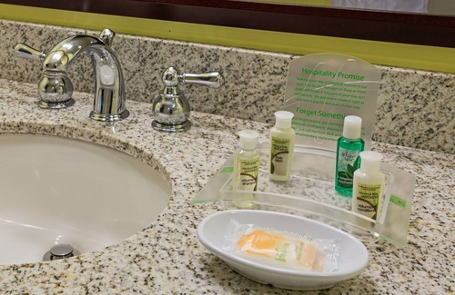 Cleveland Hotel | Discover Holiday Inn Cleveland Clinic with Pool & Spa Access