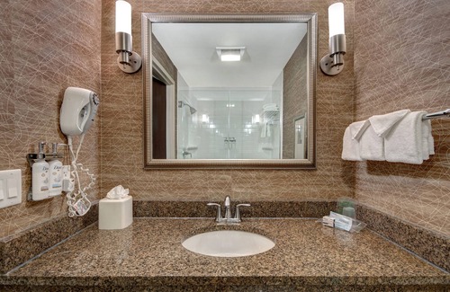 Romulus Hotel | Comfortable Stay at Holiday Inn Detroit Metro Airport