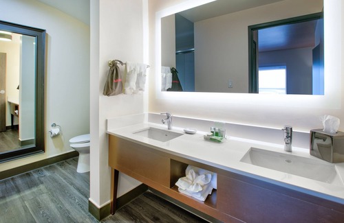 Fort Worth Hotel | Comfortable Stay at Holiday Inn DFW South with Great Amenities
