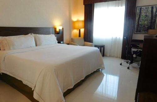Tuxtla Gutierrez Hotel | Guest Rated Holiday Inn Express Tuxtla Gutierrez - Family-Friendly