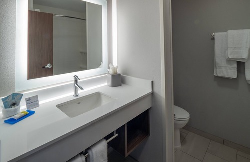 Downtown Little Rock Hotel | Top-Rated Holiday Inn Express & Suites in Little Rock Downtown